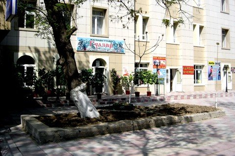 Цветочный магазин «Гулзар», улица Казыбек-би