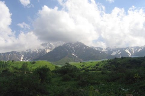 Природа Южного Казахстана, Тюлькубасский район