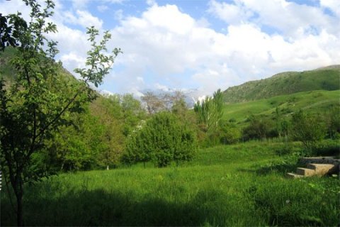 Природа Южного Казахстана, Тюлькубасский район