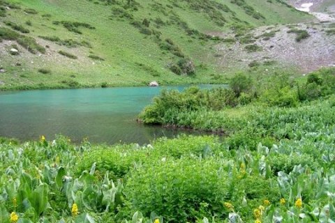 Горное озеро, Сайрам-Угамский Национальный парк