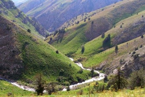 Горная река, Сайрам-Угамский Национальный парк