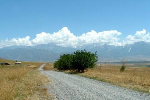 Природа Южного Казахстана