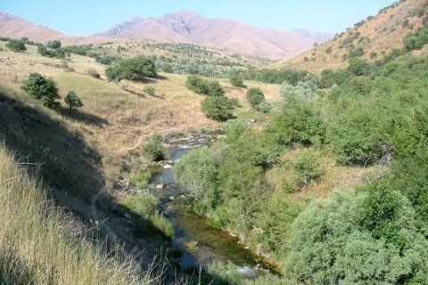 Природа Южного Казахстана
