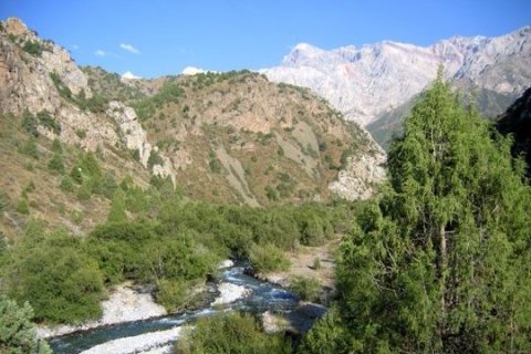 Аксу-Джабаглинский заповедник