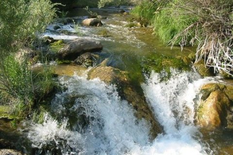 Горный ручей, Заповедник Аксу Джабаглы