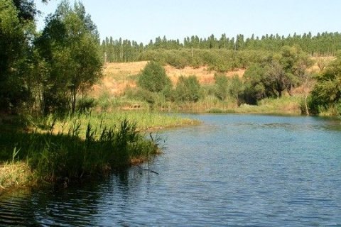 Природа Южного Казахстана