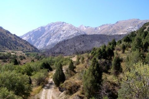 Природа Южного Казахстана