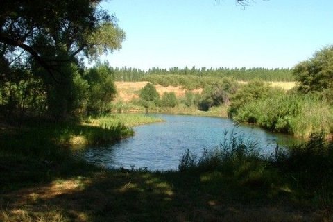 Природа Южного Казахстана