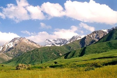 Природа Южного Казахстана (авт. Е.Белоусов)
