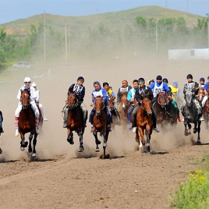 В Южном Казахстане прошел конный фестиваль «Кулагер»