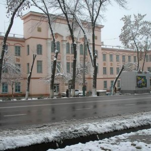 В Шымкенте увеличилось количество пострадавших от гололеда