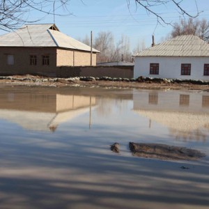Южане, пострадавшие от наводнения, требуют компенсации