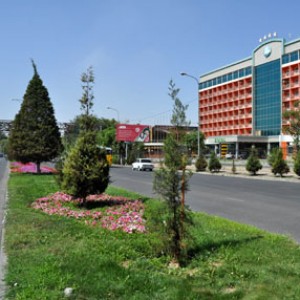 Повезло растениям в центре