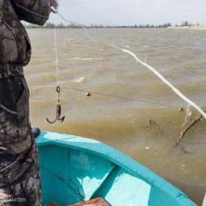 Браконьерский вылов рыбы на Коксарае происходит в промышленных масштабах