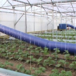 В Шымкенте открыто крупнейшее в стране овощехранилище
