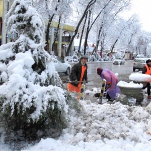 Первый большой снег